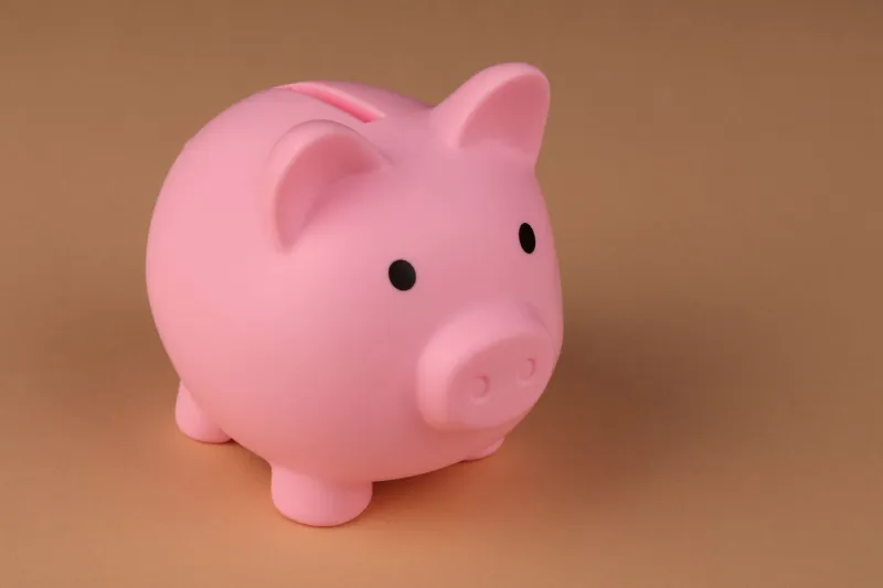 Every Payout Has a Purpose: The Vacation Fund You Build Without Noticing